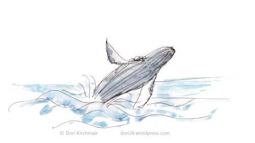 Breaching whale - Dori Kirchmair